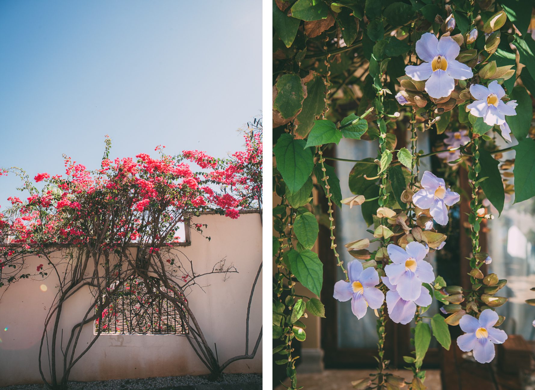 Costa-Rica-Destination-Wedding-Photographer-113