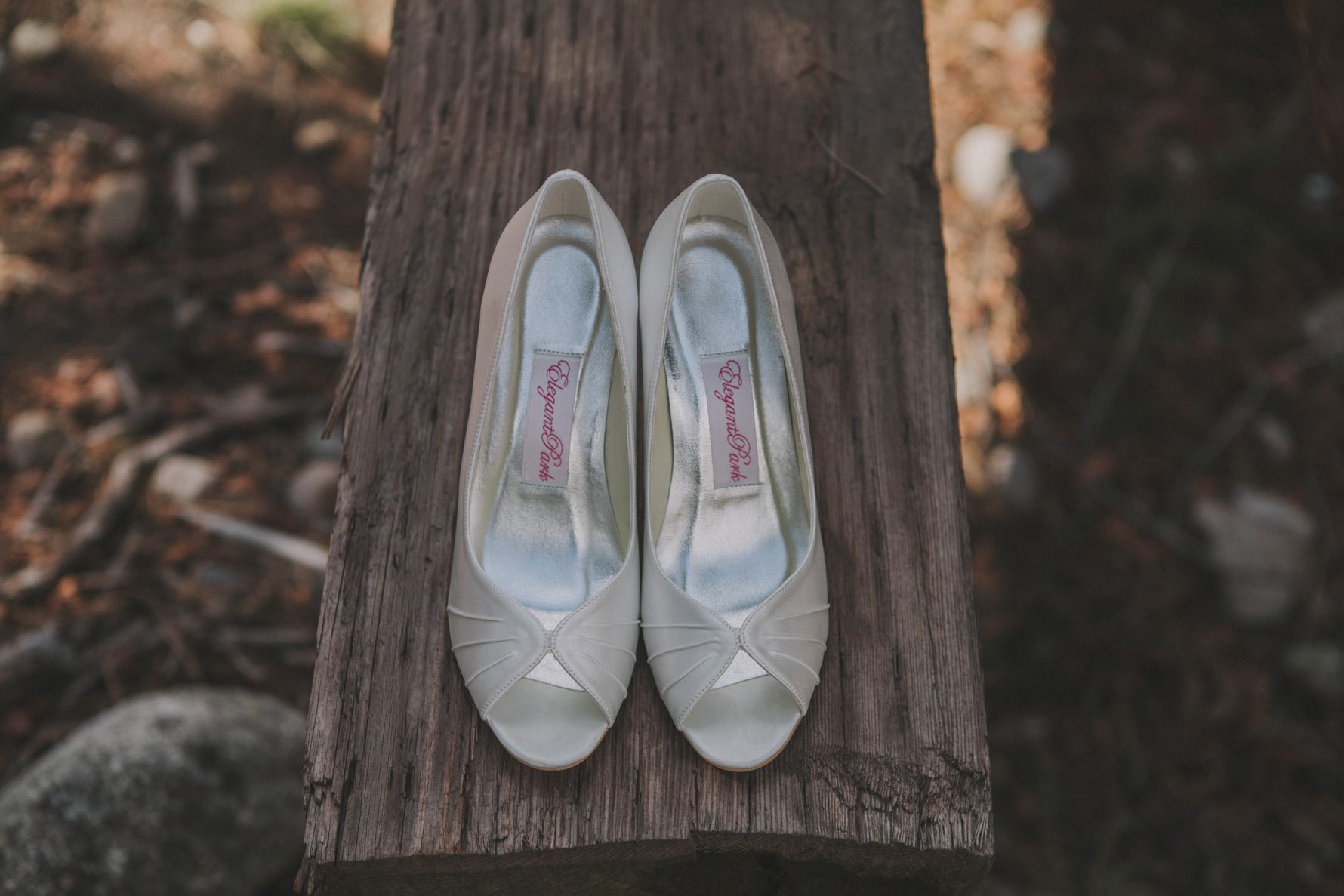 Mt-Princeton-Colorado-Wedding-2