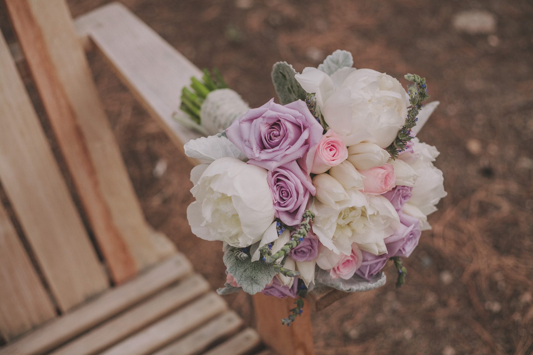 Mt-Princeton-Colorado-Wedding-5