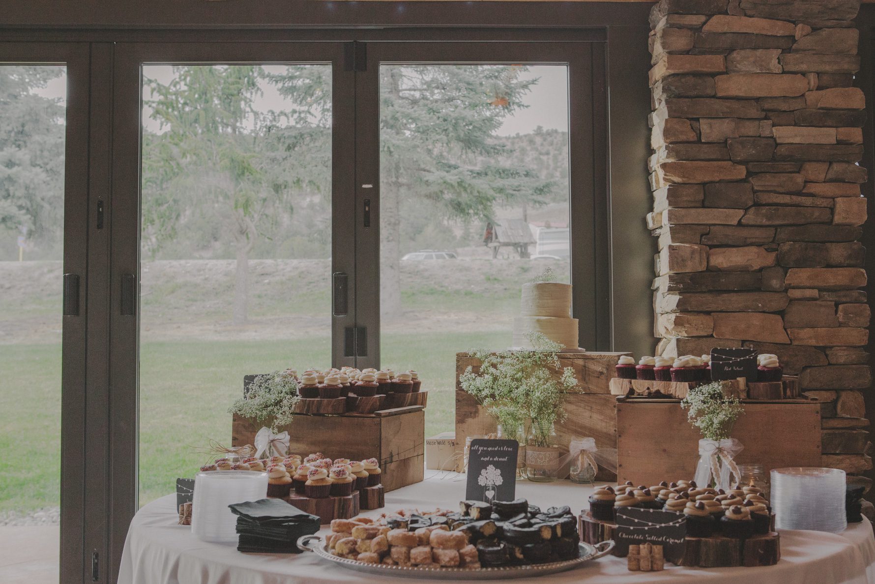 Mt-Princeton-Colorado-Wedding-59