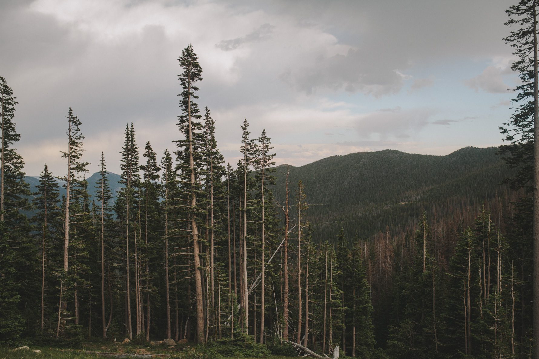 Rocky-Mountain-National-Park-Colorado-Engagement-13