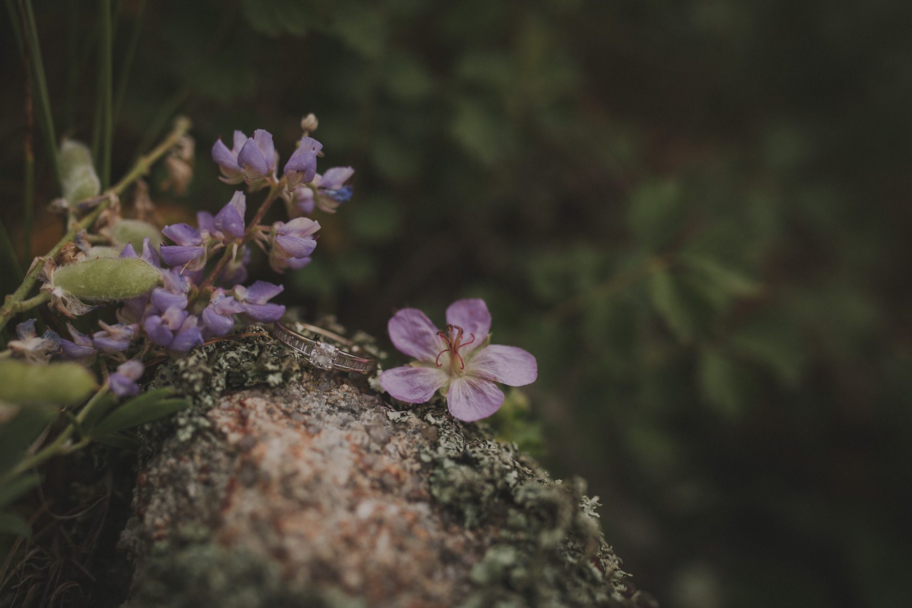 Spruce-Mountain-Colorado-Engagement-Session-1